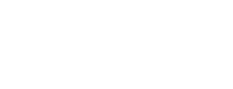 Litz logotyp
